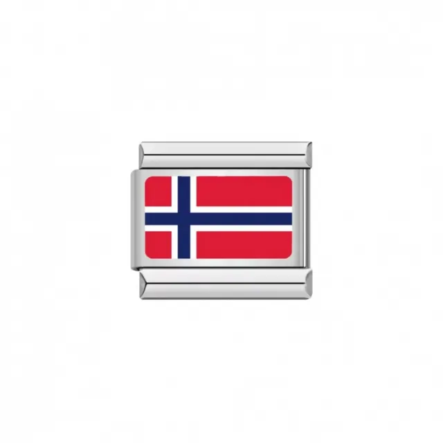 Firenze ledd - norsk flagg